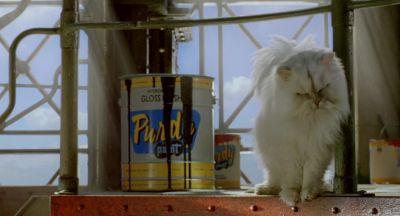 Margalo Where are you In the can - Stuart Little 2