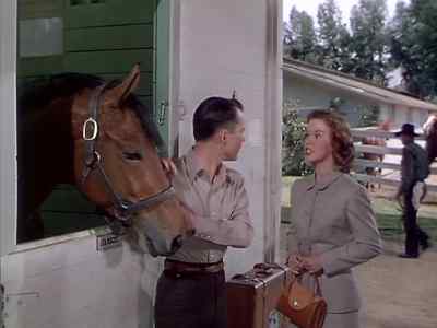 Margaret - The Story of Seabiscuit
