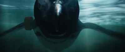[Maria] Joao... - My Penguin Friend