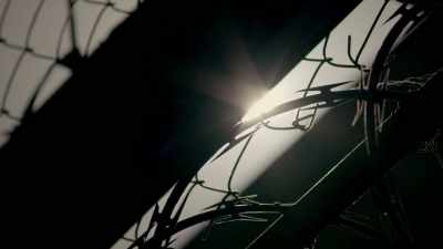 MARIANA: And I can't help but
wonder what they might think - Trafficked with Mariana van Zeller