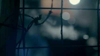 MARIANA: I'm in
the Sinaloan countryside, - Trafficked with Mariana van Zeller