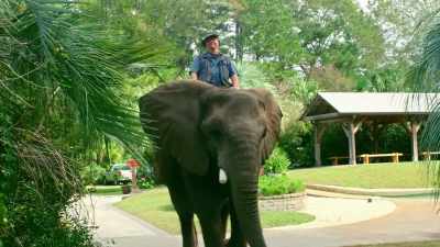 MARIANA: Since
opening the park in 1983, - Trafficked with Mariana van Zeller