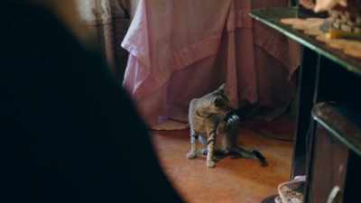 MARIANA: What fascinates me most - Trafficked with Mariana van Zeller