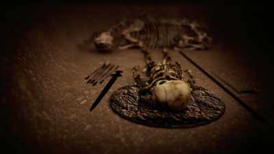MARIANNE: Very unlikely. - Viking Warrior Women