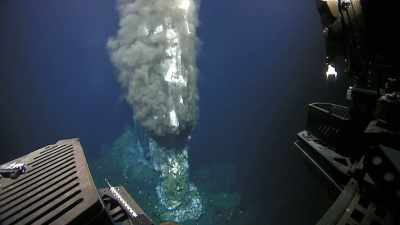 MARINE BIOLOGISTS INVESTIGATING
IT MAKE A REMARKABLE DISCOVERY. - Strange Evidence