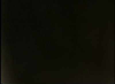 MARK:
Dead animal. A coyote? - Phoenix Forgotten