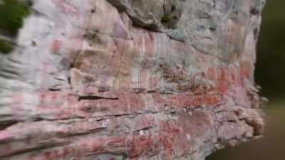 MARK HAS DISCOVERED WHAT THESE
ROCK ARTISTS WERE EATING. - Lost Cities of the Amazon