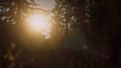 [Mark] I felt like
Linda was just... - Lost Women of Highway 20