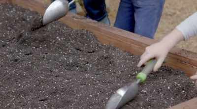 [Mark] Jamila, it's gonna
start getting cold soon - Homegrown