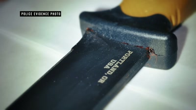 Mark stated that he stabbed Kevin - How I Caught My Killer