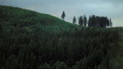 [Marlene] John Ackroyd
could have been stopped. - Lost Women of Highway 20