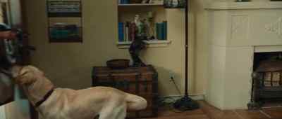 Marley! Hi, honey. - Marley &amp; Me