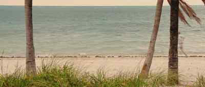 - Marley!
- Puppy! - Marley &amp; Me