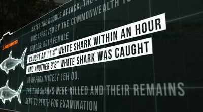 MÁRQUEZ: The sharks that
attacked Sean Pollard - Shark Attack Files