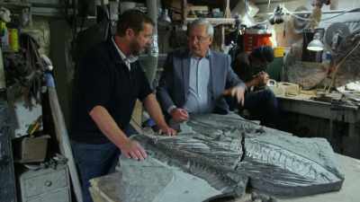 MARTILL: So this probably all
took place in the surface water. - Attenborough and the Sea Dragon