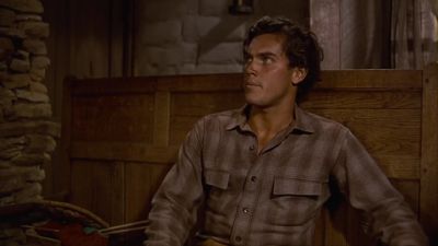 Martin Pawley - The Searchers