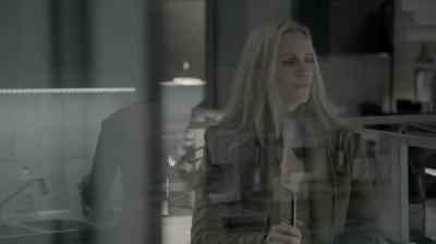 Martin Rohde found
Monique Brammer's diary. - The Bridge