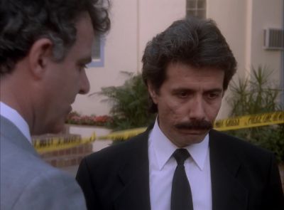 Martin, what the hell's
going on here? - Miami Vice