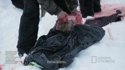 MARVIN: I was brought up
on respecting our land. - Life Below Zero: First Alaskans
