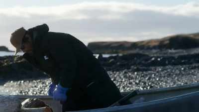 MARVIN: Struggle
of getting wood but, - Life Below Zero: First Alaskans