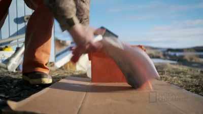MARVIN: That alone
is a $100 meal. - Life Below Zero: First Alaskans