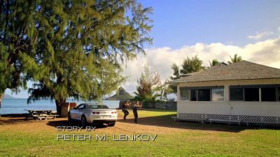 Mary, you in there? - Hawaii Five-0