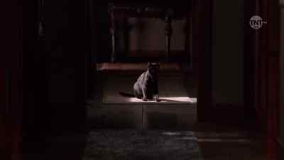 MARY: You think I
wouldn't recognize you? - Salem