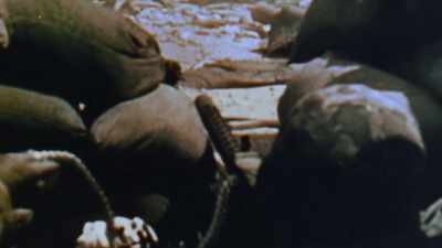 Massive firepower
from dug-in defenses. - The Pacific War in Color