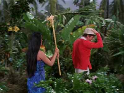 MASTER NOT WORK.
KALANI DO. - Gilligan's Island