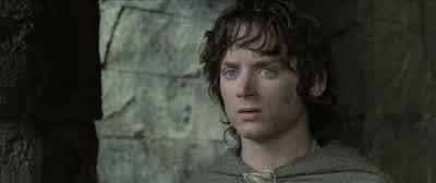 Master says we must go to Mordor, so we must try. - The Lord of the Rings: The Two Towers