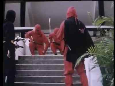Master, the Golden
Ninja Warrior is gone. - Ninja Terminator
