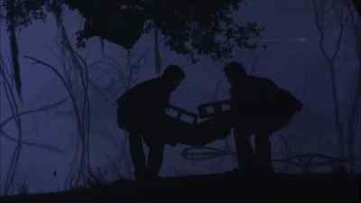 Mating opportunities everywhere. - Species III