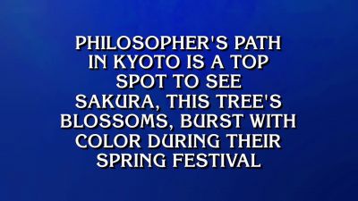Mattea.
- What's cherry? - Jeopardy! Masters