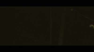 MATTHEW (hysterical):
Nothing, man. - The Wendigo