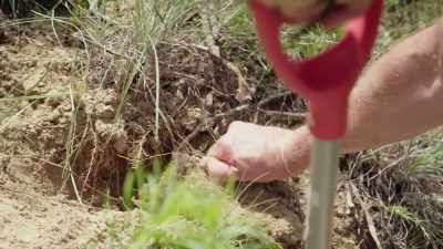 (Matty grunts) - Beyond Oak Island
