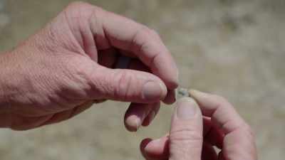 MATTY:
Gypsy pulls up
this little piece - Beyond Oak Island