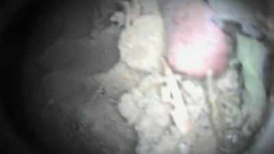MATTY:
There's some sort of
metallic piece here, - Beyond Oak Island