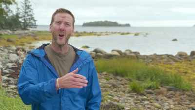 MATTY: When you start to see
multiple hits like this, - Beyond Oak Island