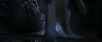 Maurice was rightI amlike Koba - War for the Planet of the Apes