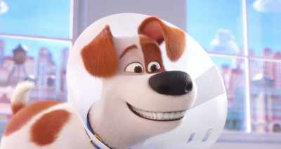 Max, you go, have a great time, - The Secret Life of Pets 2