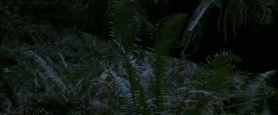 Max: Well, I've
got wet jeans - Primal Rage