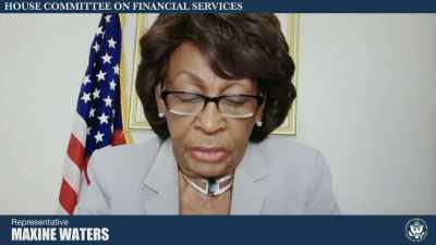 MAXINE WATERS:Mr. Gill, - Diamond Hands: The Legend of WallStreetBets