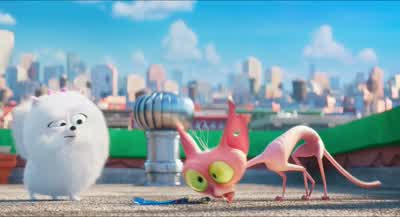 Max's collar! - The Secret Life of Pets