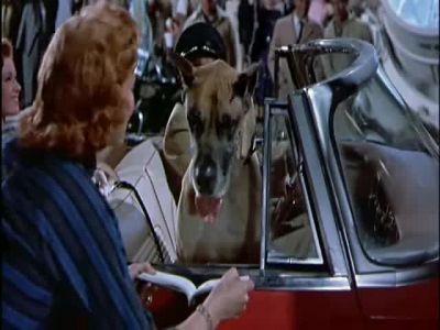 May I have your autograph - Hollywood or Bust