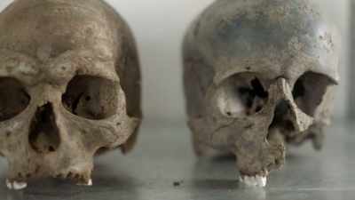 MAY: Sometimes we look
at military history - Origins: The Journey of Humankind