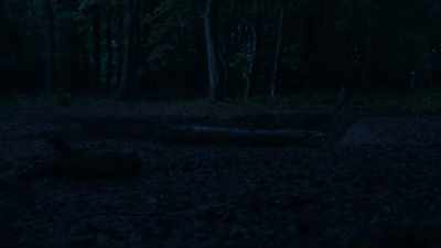 Maybe all I needed
was to sit in a hole. - Blood Actually: A Murder, They Hope Mystery