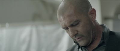 Maybe But I am not so sure if coming down from the tree - Automata