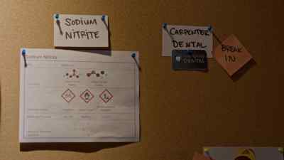 Maybe Cook'll want - Aurora Teagarden Mysteries: A Lesson in Murder