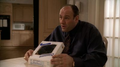Maybe you don't care about our future,
Tony, but I do. - The Sopranos