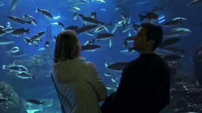Maybe find some interesting
characters for your books? - Timeless Love